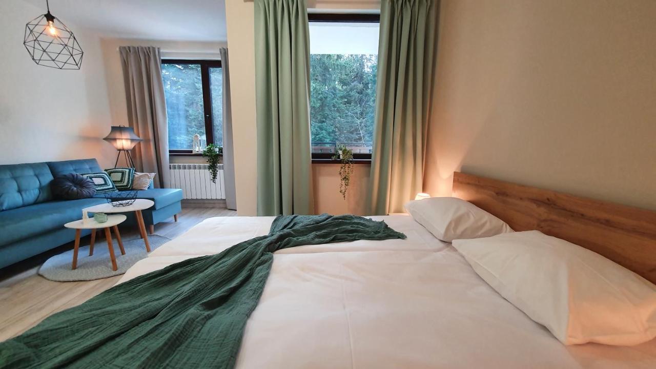 Borovets Holiday Homes Buitenkant foto